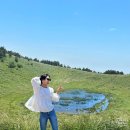 💙제주서부 여행코스 완벽정리2 - 애월,한림,서귀포편🌊