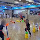 용인대잠원태권도 이미지