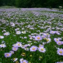 대기목장 이미지