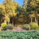 알밤오름하우스 이미지