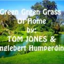 Green Green Grass of Home The old home town looks the same asI step down 이미지