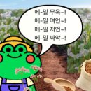 씨앗과 숲
