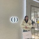 퍼스널댕댕 | 20대 명품백 추천 레이디 디올 미니백 라떼 까나쥬 양가죽 신세계백화점 강남점 후기 보관방법