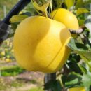 홍보농장 이미지