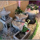 다우리참치 이미지