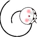 공구Da