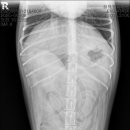 울산 쉼표동물병원 이미지