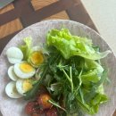 &lt;경희대 연수&gt; 노인스포츠지도사 연수 후기(1주)