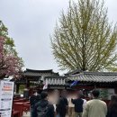 [가평] 17개월 아기랑 남이섬 내돈내산 방문 후기!(수유실, 식당 정보)