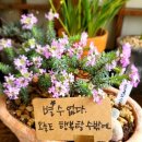 독감. 감기 조심하세요. ^^ 이미지