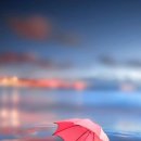 선물의집 이미지