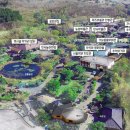 선녀와 강아지 이미지