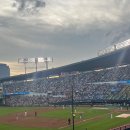 [잠실야구장] 3루 레드석 224블럭 7열 64-66번 시야 솔직 후기