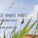 자연의 향