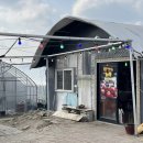 솔비농장 이미지