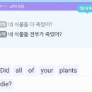 P-6209 | 말해보카 가격 초등 영어어플 내돈내산후기