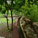 의풍분교온달캠핑장 이미지