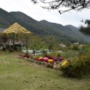 성규농장 이미지