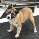 송전초등학교 이미지