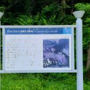 승전목전승지 이미지