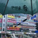 싸움의고수수지 이미지