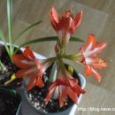 동엽에너지 이미지