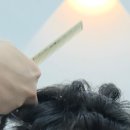도민(Domin) | 운양역 미용실 - 남자 아이롱 열펌과 다운펌을 한 오네브헤어 방문후기