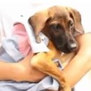 장고농장 이미지