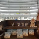 월정유기농장(정심원) | [제주여행] 물질하는 강아지 보솜이와 월정리 바다산책 해보기! 따듯하고 정겨운 보솜투어 솔직후기~