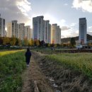 메밀꽃체육관 이미지