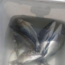 해성펜션 이미지