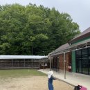 정동농장 | 🐴세종시 정동체험마을 아이와 내돈내산 방문 후기