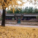 현풍곽씨십이정려각 네이버블로그