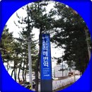 hm109클럽 정동진 송년트래킹(제8-8부) 이미지