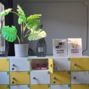 한양대학1길 1 이미지