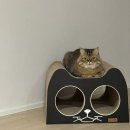 네꼬모리 | 고양이 스크래쳐 우리 야옹이가 인정한 네꼬모리 스크래쳐 숨숨집 다묘가정 추천 후기