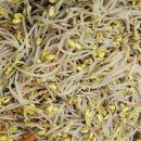 울산광역시노인복지관(삼산동) 이미지