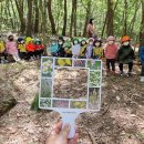 네이쳐 위클리 이미지