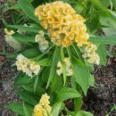 풍요농장 이미지