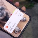 용산-현장-82 이미지