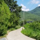 매화관광농원캠핑장 이미지