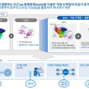 롱바이오