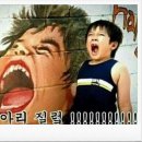 이그니스 이미지