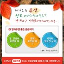 알아두면 좋은 응급처치 방법 소개합니다:) - 벌, 곤충, 뱀에 물렸을 때, 베거자 찢어진 상처 응급 처치 방법 ! 이미지