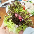 한내시장 (관리번호 2번) | [석바위시장역] 문어시대, 돌문어보쌈과 해물칼국수 가족외식 후기