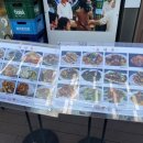 레드웍868 이미지