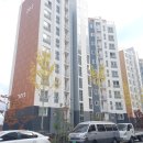 도배나라 이미지