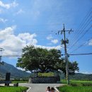 호화리안 이미지