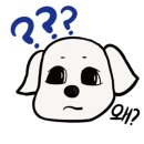 벤지애견 이미지