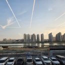 월곶해안로 | 시흥 제철 활어회 왕새우구이 맛집 월곶수산마켓 내돈내산 후기